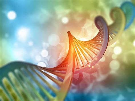What Is a Good DNA Match from a Research .